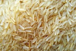 1509 sella rice