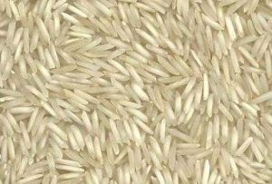 8.3mm Steam Rice