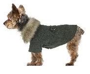 Dog Coat