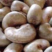 Raw Cashew