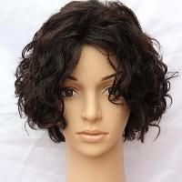 Full Lace Human Hair Wigs