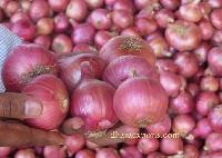 Onions