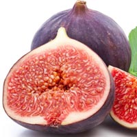 Fig