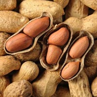 Shelled Peanuts