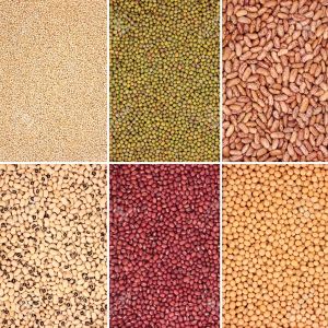 Indian Pulses