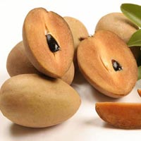 Sapodilla