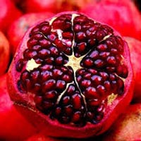 Fresh pomegranate