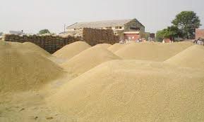 Paddy Procurement Services