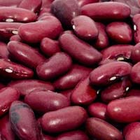 Red Kidney Bean