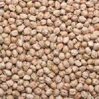 Chickpeas