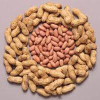 Groundnuts