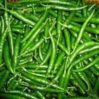 Fresh Green Chilli