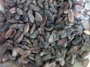 Mahua Seeds