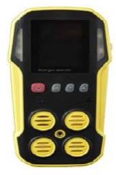 Portable Gas Detector