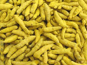 Turmeric Finger