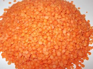 Split Red Lentils