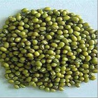 Whole Green Moong Beans