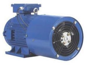 Inverter Duty Motor