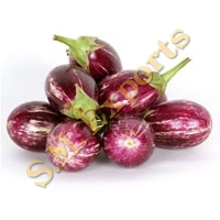 Brinjal