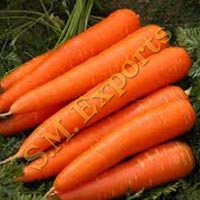 Carrot