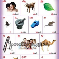 Tamil Alphabets Chart