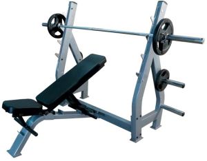 MULTI PURPOSE BENCH OLYMPIC