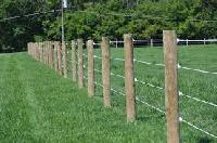 fence posts