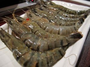 Tiger Prawns