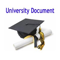 University document courier services