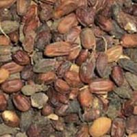 Neem Seeds