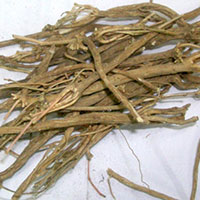 Dried Akarkara Root