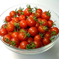 Cherry Tomato