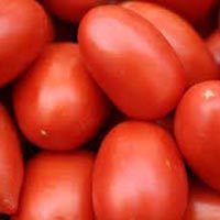 Fresh Tomato