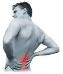 Physiotherapy Services