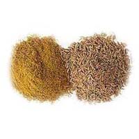 Cumin Seeds & Powder
