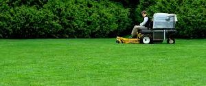 Lawn Care & Treatment Services