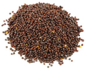 Brown Mustard Seeds