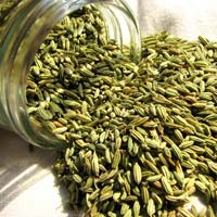 Fennel Seeds