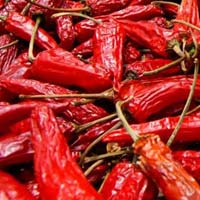 Long Dried Red Chilli