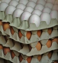 Brown Fresh Table Eggs