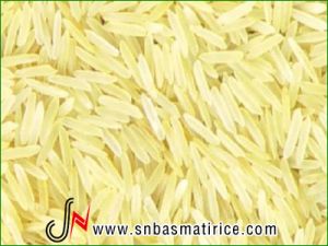 1121 Golden Sella Rice