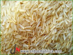 1509 sella rice