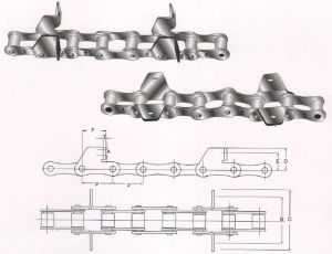 agricultural chain