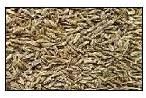 Cumin Seeds