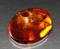 Amber Stone