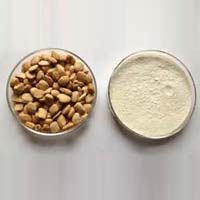 White Tamarind Kernel Powder