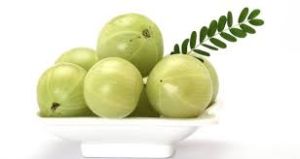 Fresh Amla