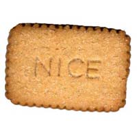 Nice Biscuits