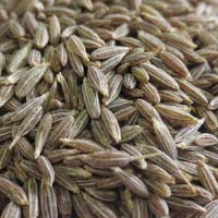 Cumin Seeds