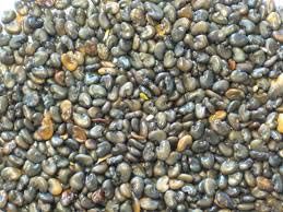 Sunhemp Seeds